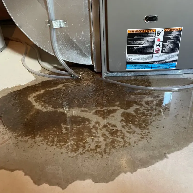 Pipe Burst and Leak Restoration in Canisteo, NY